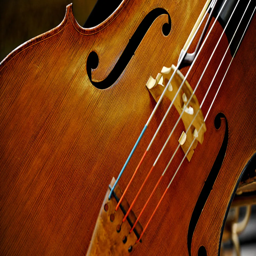 Sounds Upstairs Violins of Hope Pittsburgh